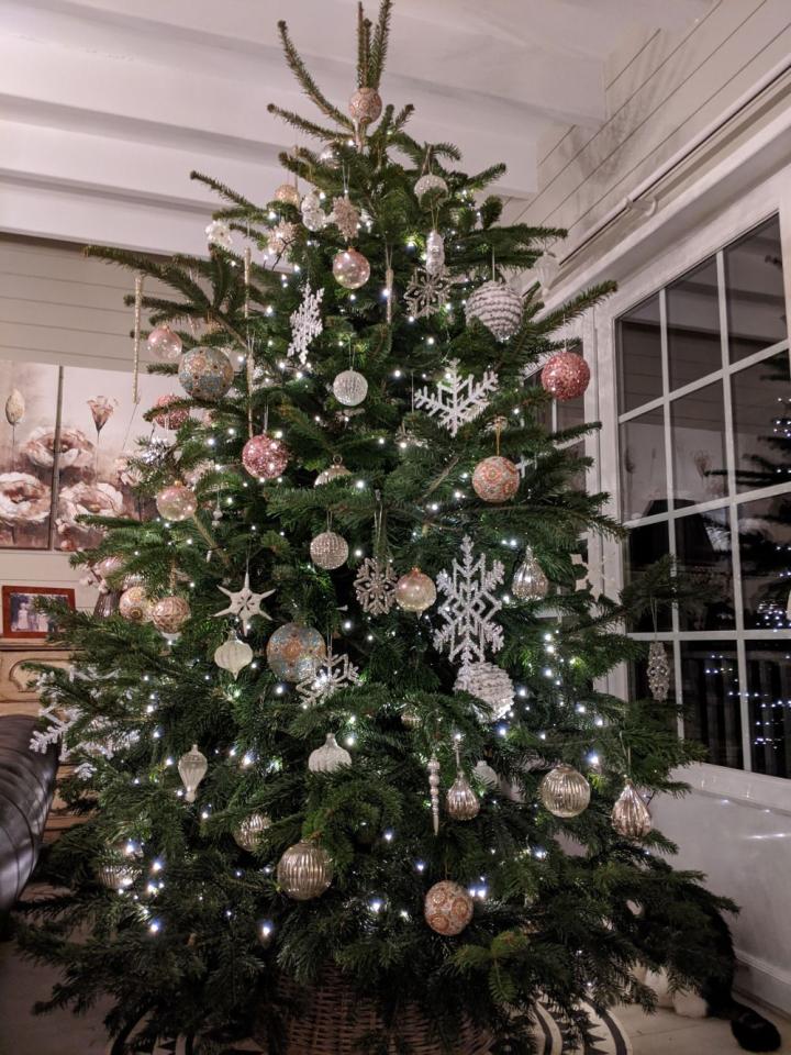 nordmannspar uit eigen kwekerij.