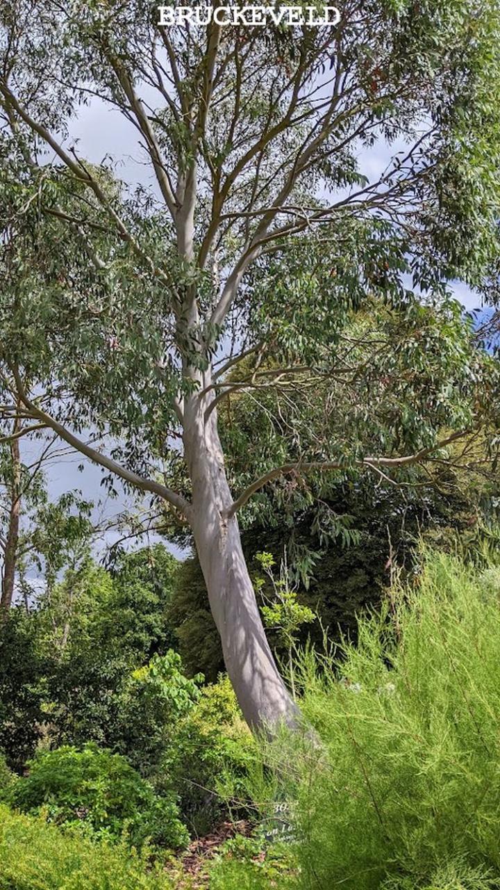 Hever castle 2024ch11.jpg