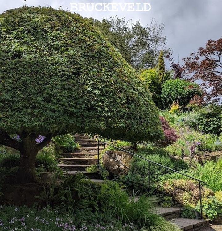 Hever castle 2024ch12ch.jpg