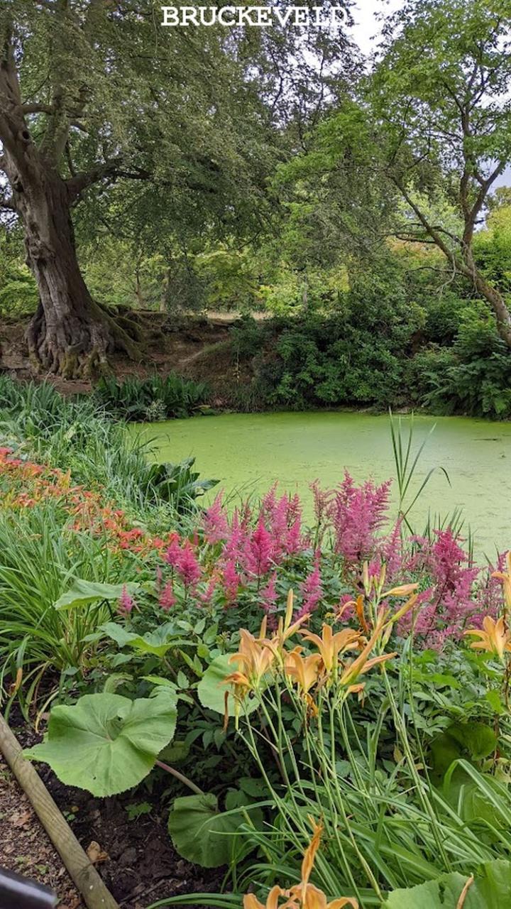 Hever castle 2024ch9.jpg