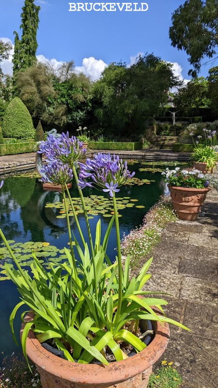 borde hill 2023ch3.jpg