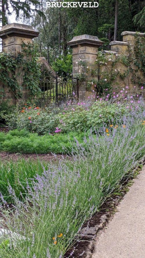 gravetye manor2023ch5.jpg