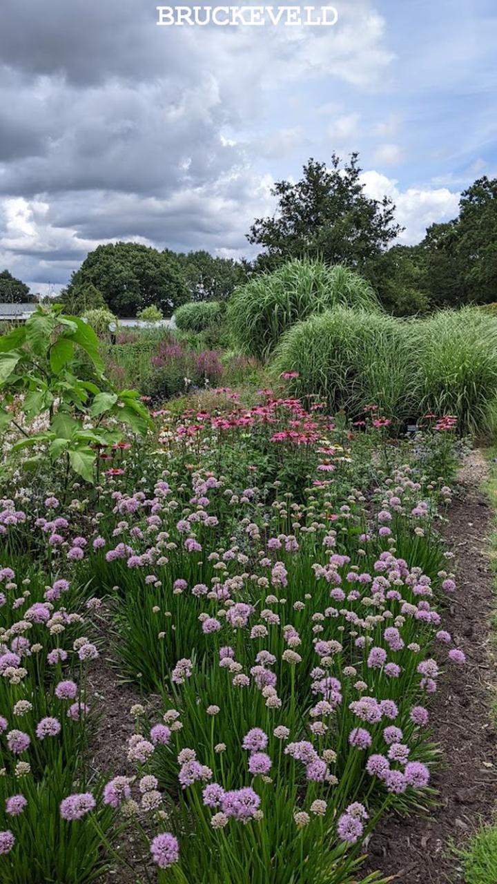 sussex prairie garden2023ch2.jpg