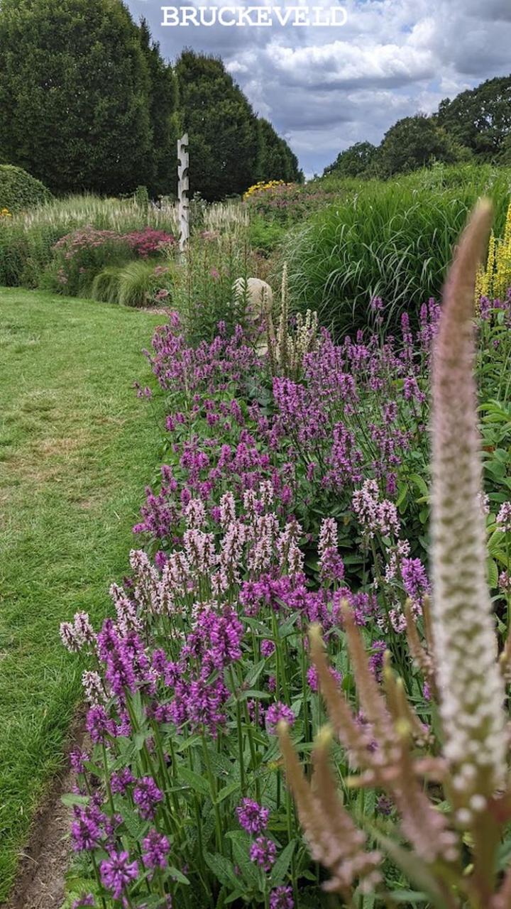 sussex prairie garden2023ch3.jpg