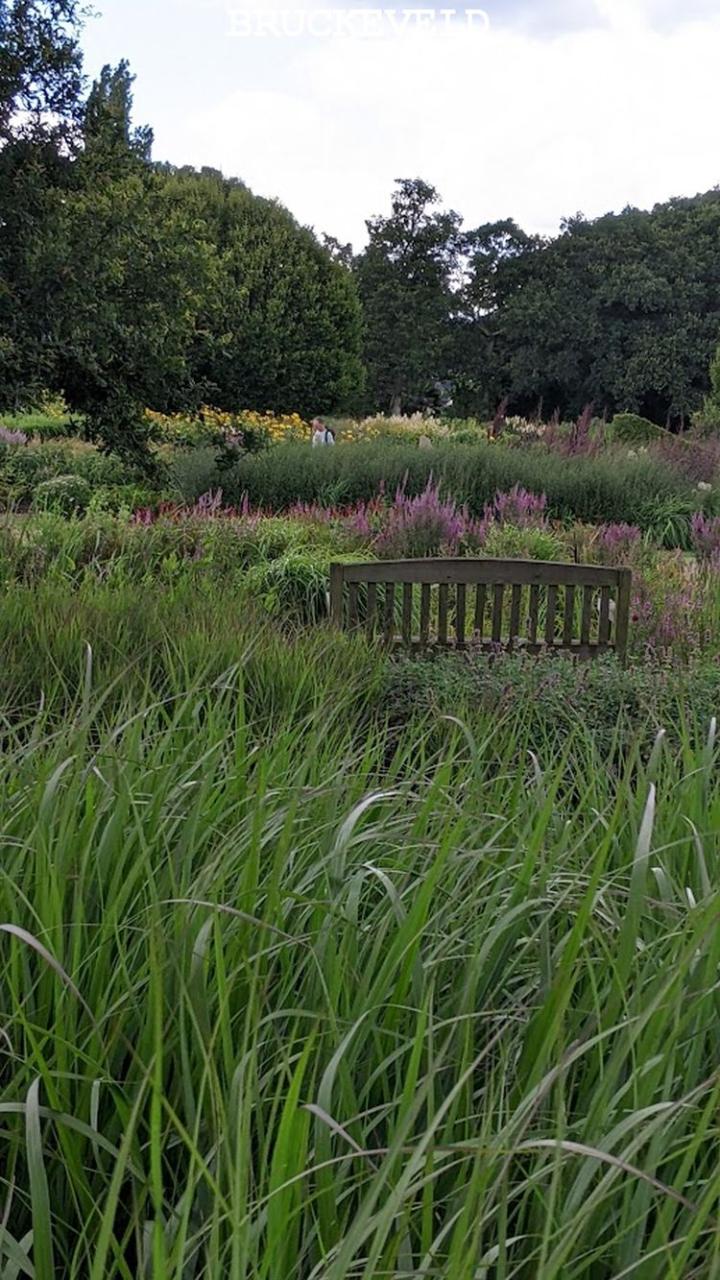 sussex prairie garden2023ch6.jpg