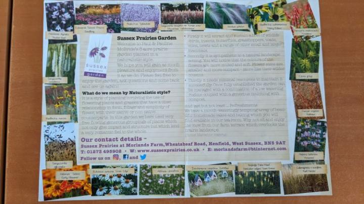 sussex prairie garden2023ch9.jpg