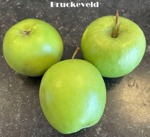 APPEL Granny Smith