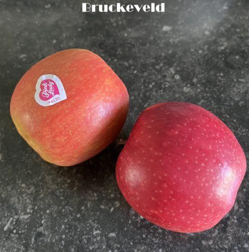 APPEL Pink Lady