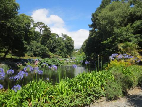 Trebah U.K. juli 2014