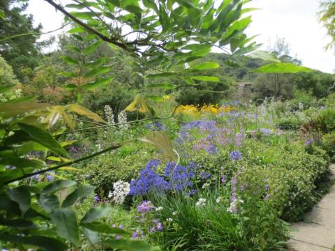 Marwood U.K. juli 2014