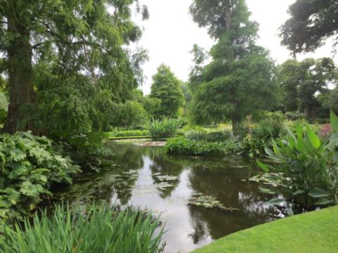 Beth Chatto U.K. juli 2015