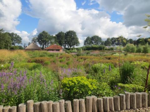 Lisianne Nederland juli 2016