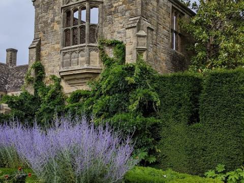 nymans garden 2023ch1.jpg